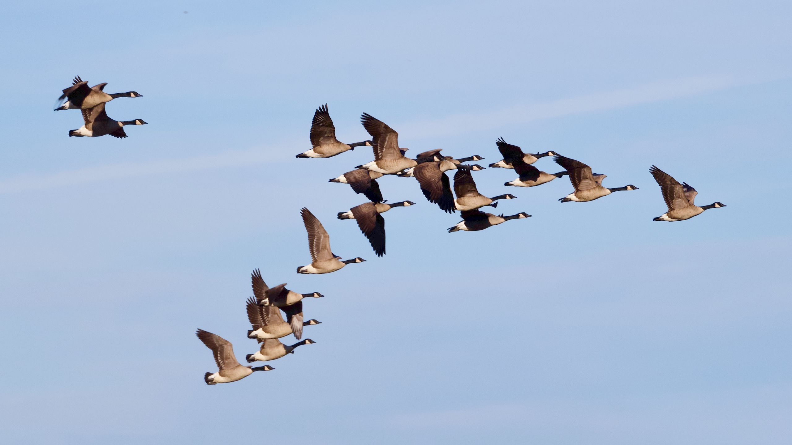 How to Migrate a Magento Commerce Website to WordPress and WooCommerce: A Step-by-Step Guide